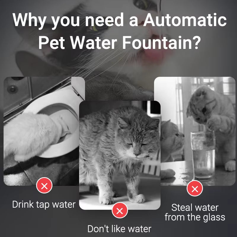 Rechargeable Cat Water Fountain – Fresh, Flowing Water for Healthy, Happy Pets
